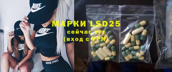 прущий лед Алзамай