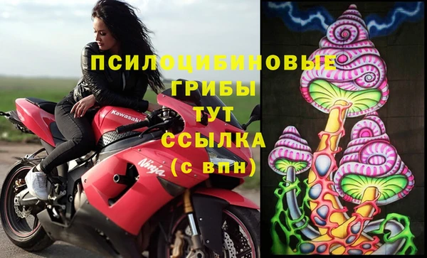 твердый Осинники