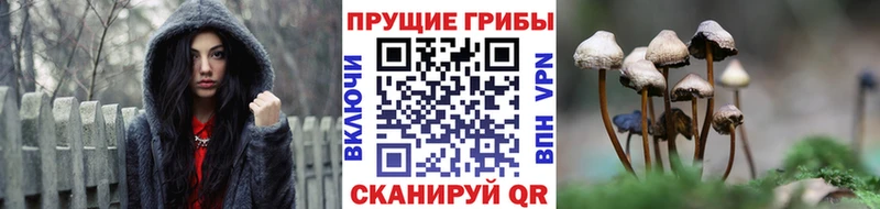 Псилоцибиновые грибы мицелий  блэк спрут ссылки  Арск 